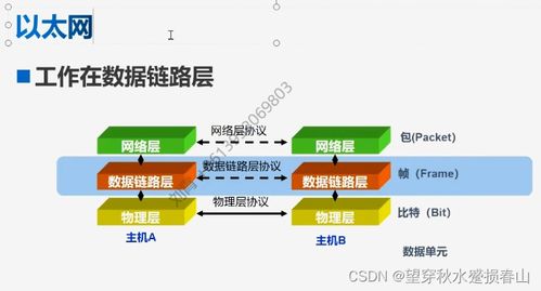 交换机基本原理与配置